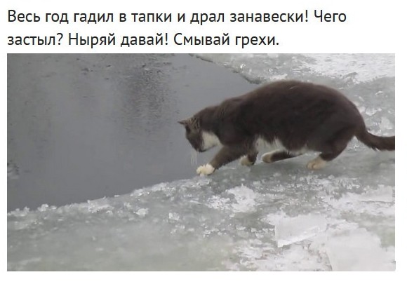 Картинок всяких разных