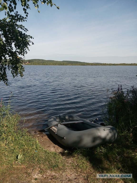 Братья и сестры