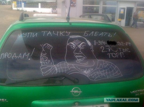 Рожи везде
