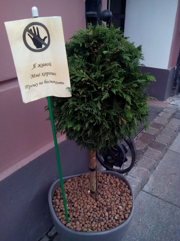 Надписи от тех, кто точно знает, как приковать наше внимание