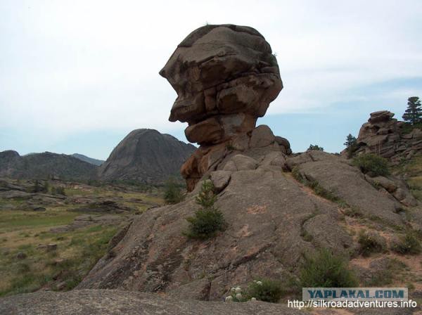 Поразительные странности природы