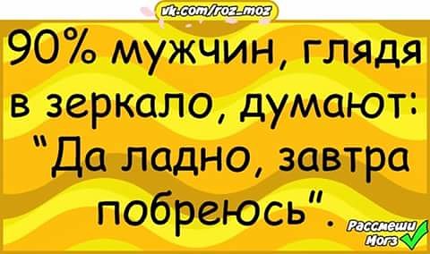 Картинки юморные и тексты 11.10