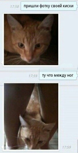 Немного картинок на сегодня