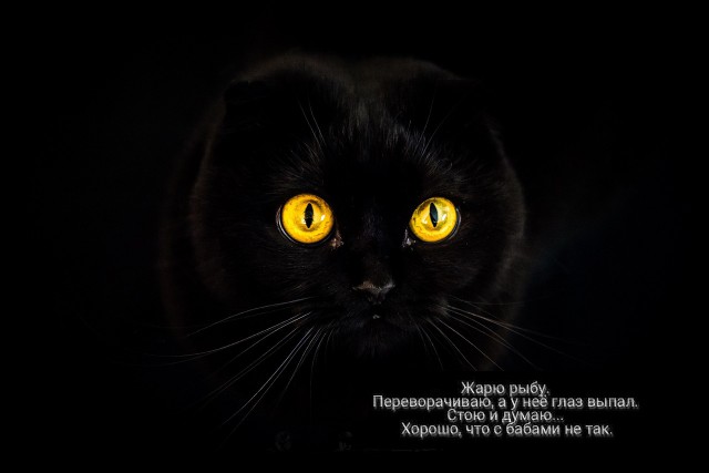 Немного картинок на вечер