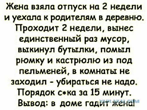 Картинки с надписями и анекдоты