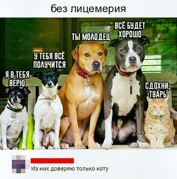 Просто 40 картинок