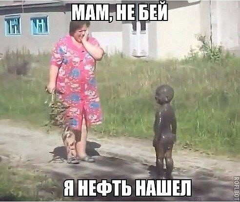 13266709.jpg