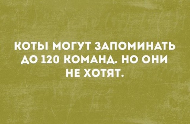 Картинки в черных рамках с белым текстом