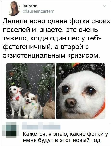 Пара-пара-пам! Фьють. Картинки с надписями 29.12.19
