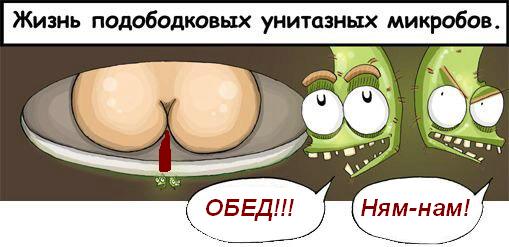 Суровая жизнь микробов