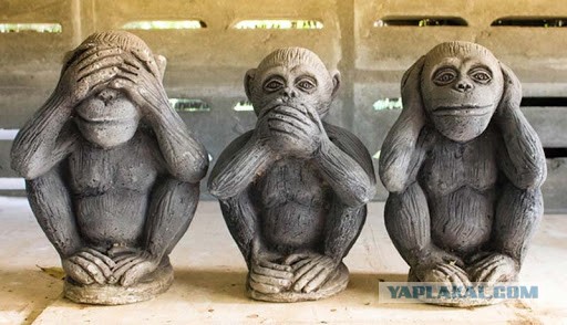 Путина удивил рост цен на бензин