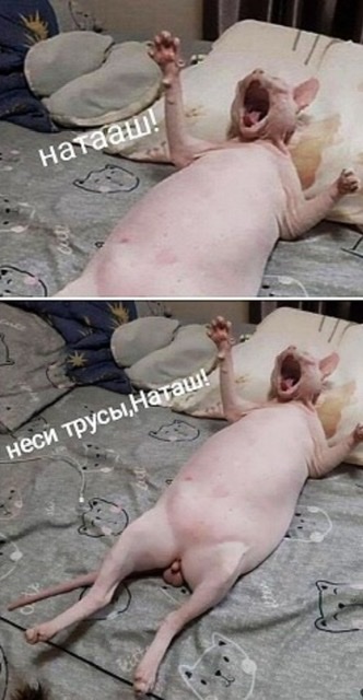 Определено соотношение мужчин и женщин в России
