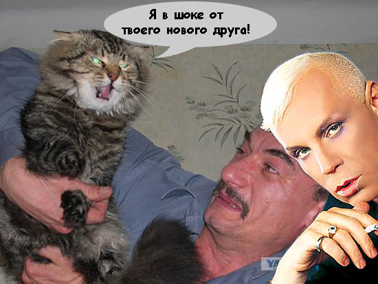 Злой кот