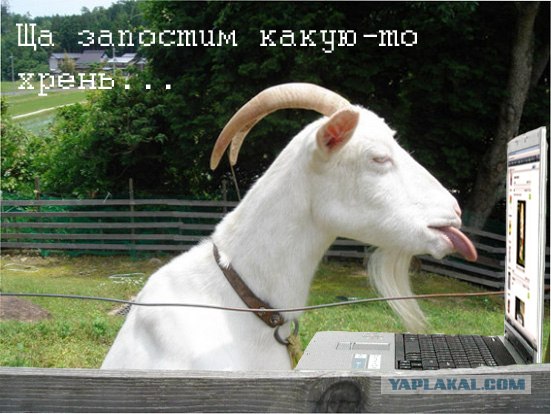 Коза с языком: А вот вам!