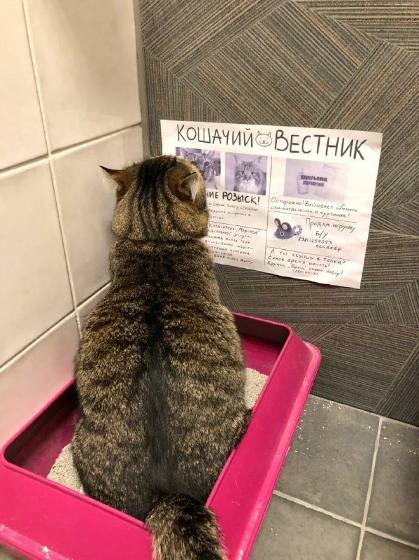 Глазки отдохните: подборка живности всякой
