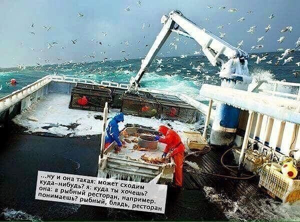 Фотки и картинки: юморные и красивые, забавные и милые 11.11.20