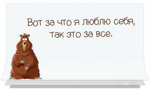 Забавные шутки, картинки и фразы из этих ваших интернетов