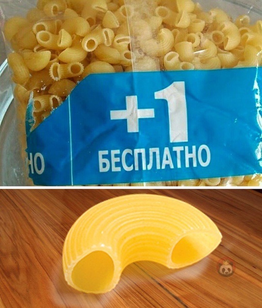 15137709.jpg