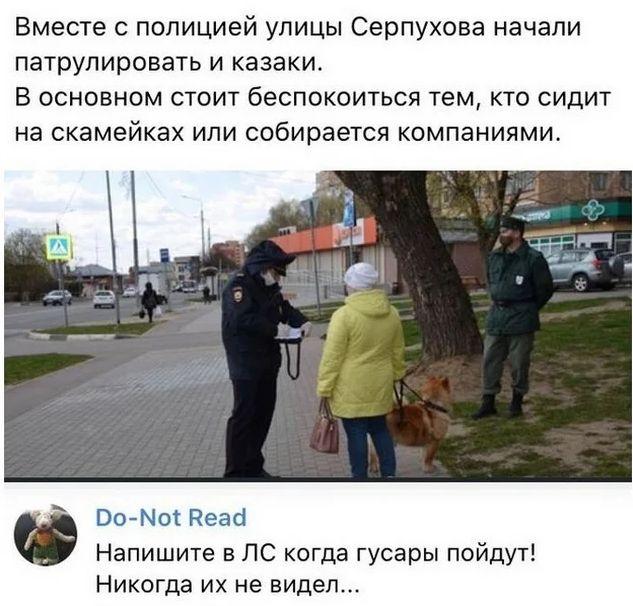Картинки и мемы для настроения 015