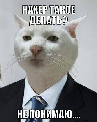 "Да что эта рыжая себе позволяет.."