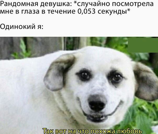 Картинки и мемы для настроения 024