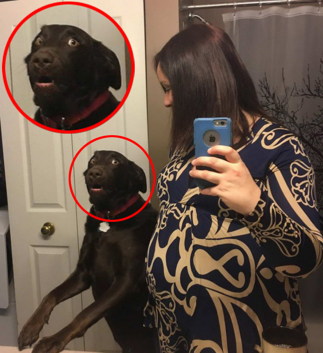 Калейдоскоп картинок