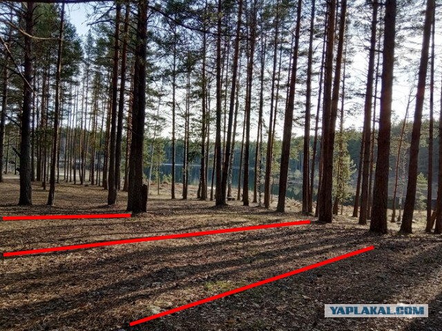 Американцы (окончательно) не были на Луне! Лоза подтвердил