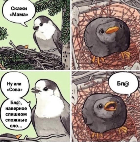 Весёлый полтишок 2.07