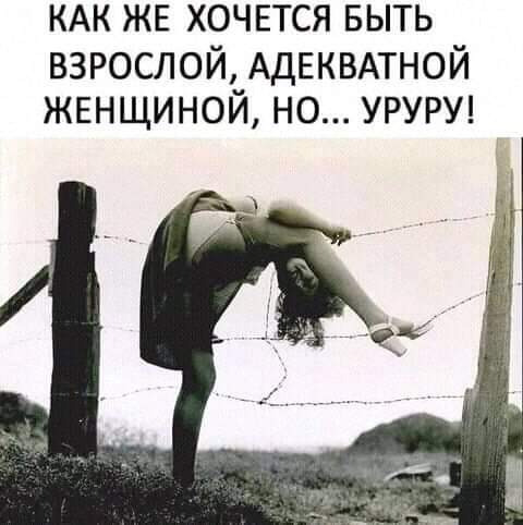Весёлый полтишок 6.08
