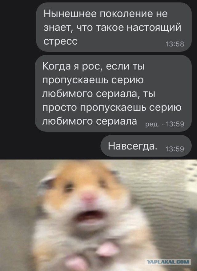 Картинки и мемы для настроения 24.08.2021