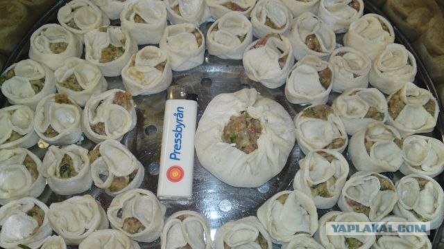 Пятничные посиделки на теплотрассе ©