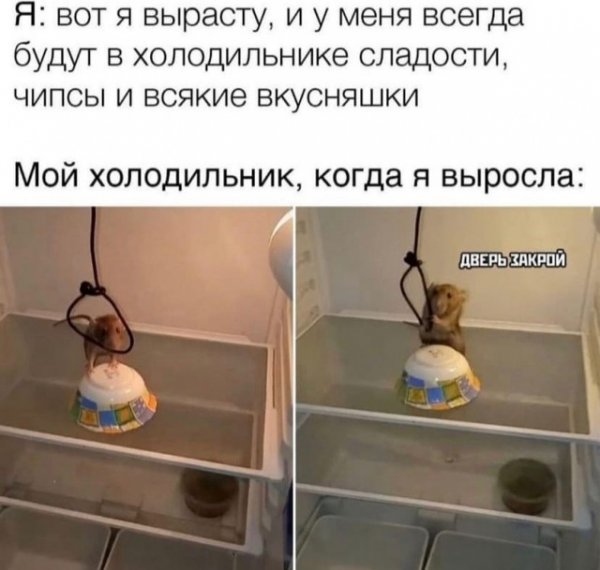 Картинки и мемы всем прекрасных выходных