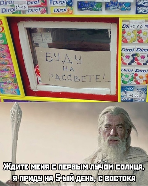 Весёлый полтишок 14.01