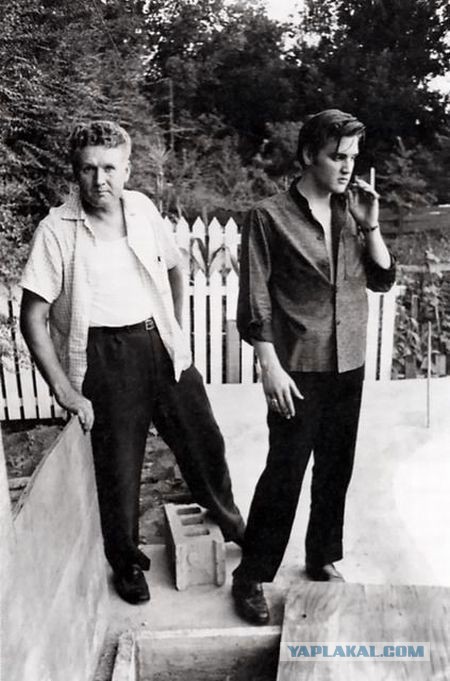 Подборка фото обо всём