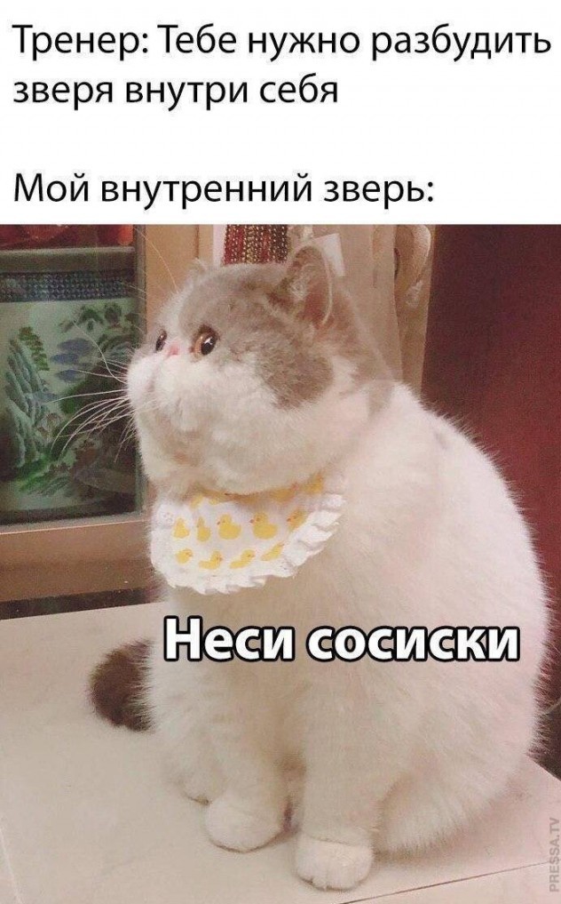 Картинки и буквы 15.07.22