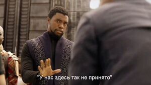 Все идет строго по плану