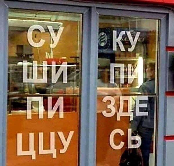 Весёлый полтишок 08.08.22
