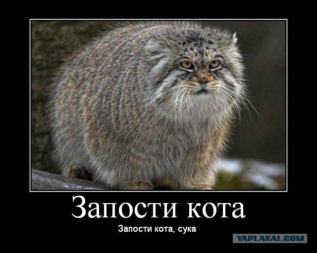 Ну блин, и так сёдня весь сонный хожу..
