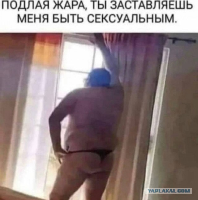 Хозяйство у жениха маленькое, жену не найдет!