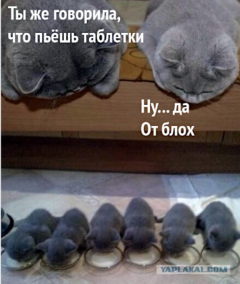 Но это уже совсем другая история