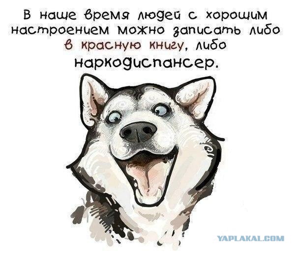 Околоалкогольная подборка