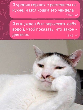 Так себе картинки 22.01.24