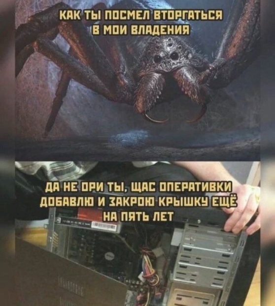 Так себе картинки 09.02.24