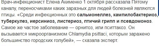 Совы - нежные!