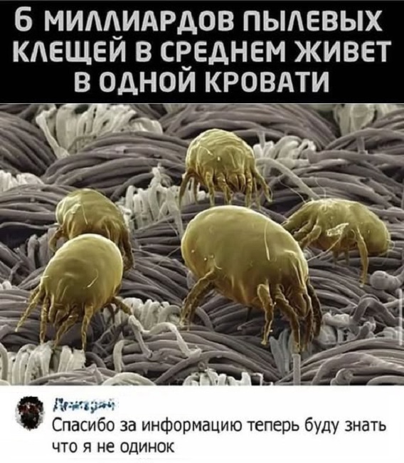 Картинки разные с надписями и без