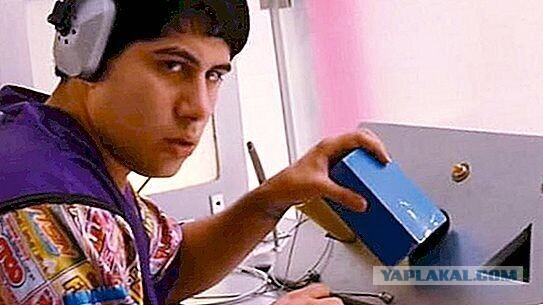 Внимание, произошел мост глупости