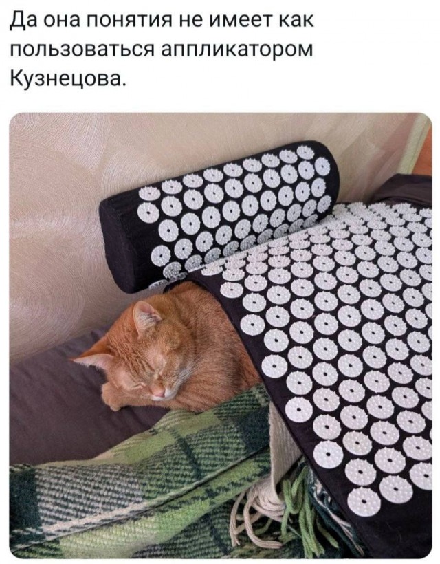 К котовторнику: подборка картинок-баянов с котиками и про котиков. Выпуск 8