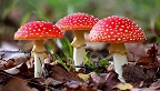 В России началась эпидемия бессонницы. Люди скупают снотворное. Чем это опасно и как вернуть себе здоровый сон