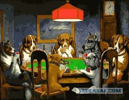 Портрет трёх домашних питомцев.