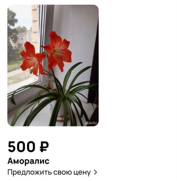 Пятничные картинки